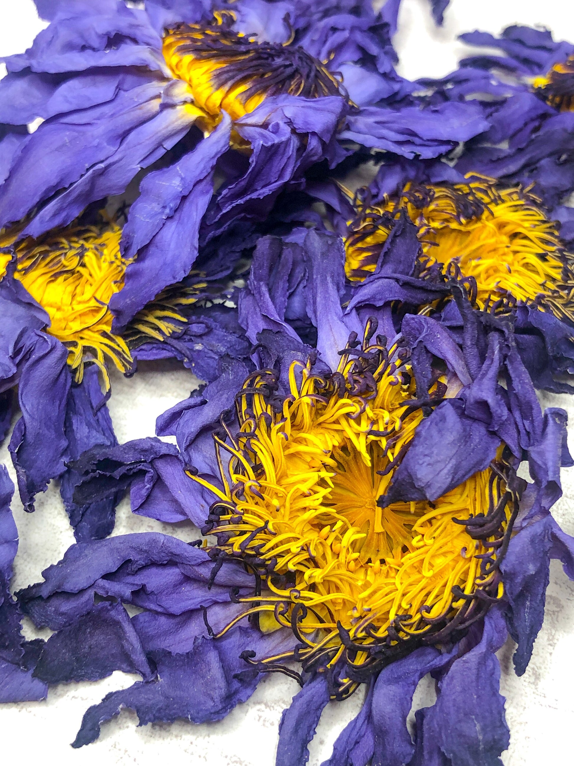 Blue Lotus for tea NEW!!! - Lotus flower tea (Nymphaea caerulea) - han –  Teasome