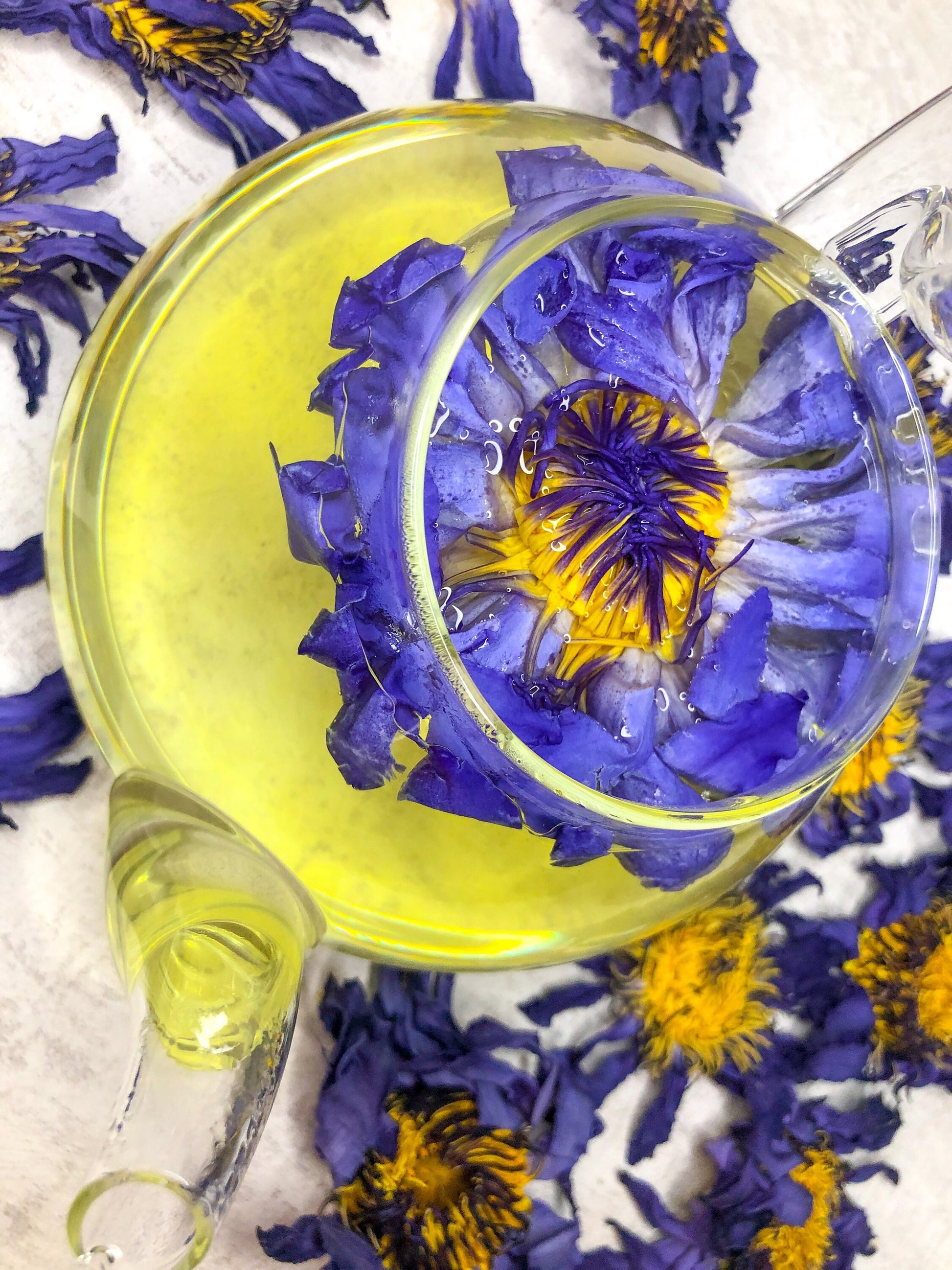 Blue Lotus for tea NEW!!! - Lotus flower tea (Nymphaea caerulea) -  hand-picked lotus - fresh harvest 2023 - Chinese tea tradition