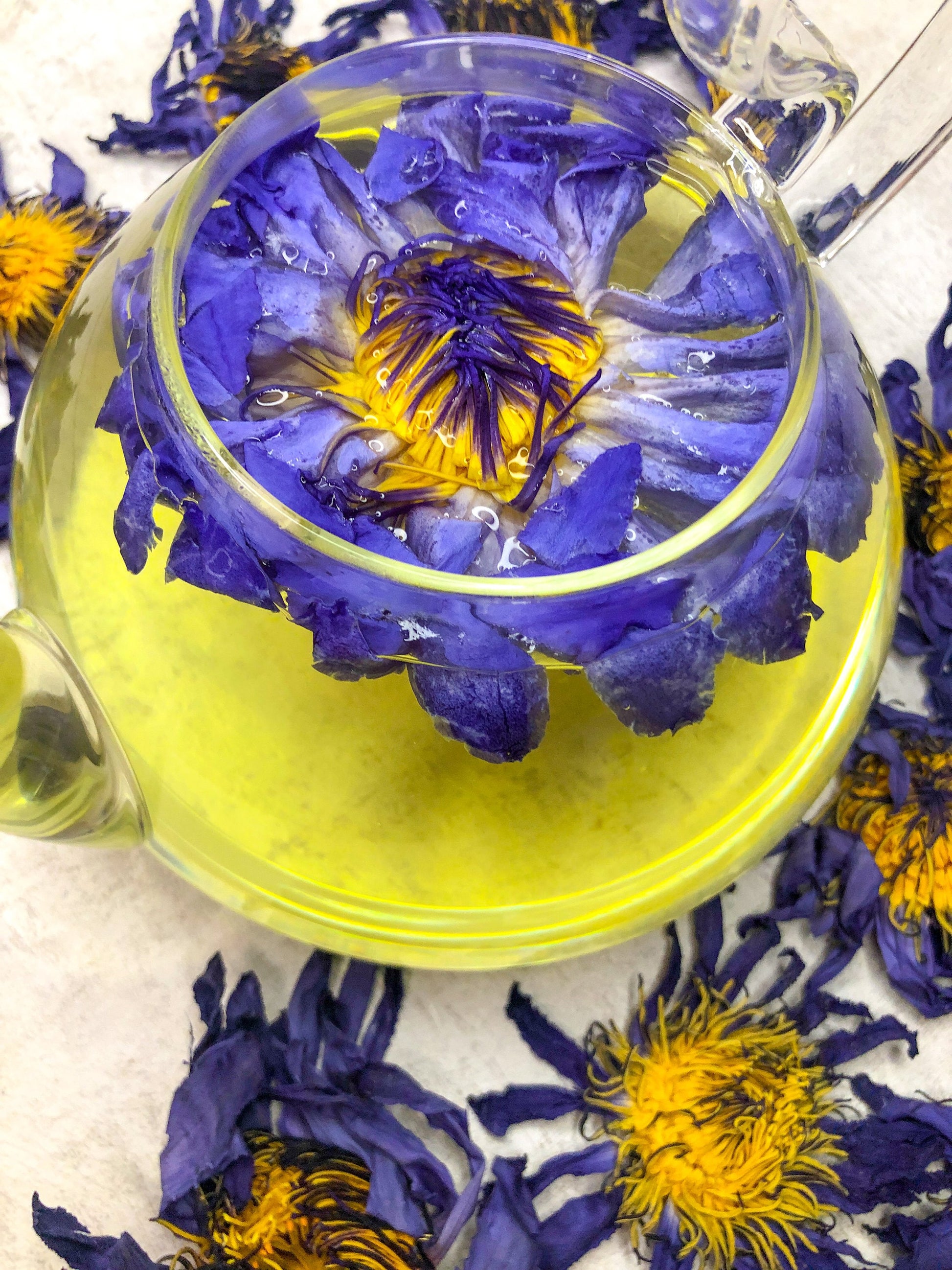 Blue Lotus for tea NEW!!! - Lotus flower tea (Nymphaea caerulea) - han –  Teasome